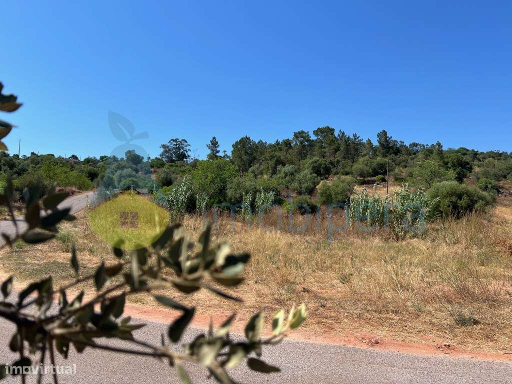 TERRENO RÚSTICO EM PEDREIRAS/ELECTRICIDADE/ÁGUA E SANEAMENTO - Grande imagem: 3/33