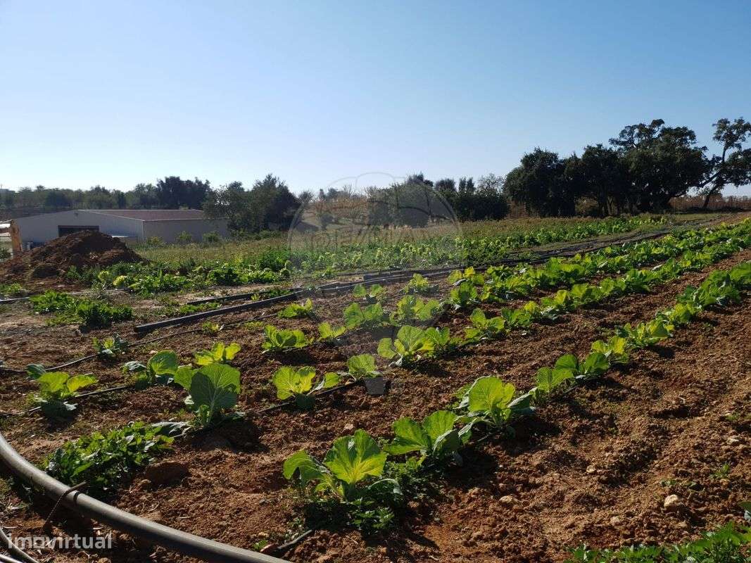 Quinta  para venda - Grande imagem: 5/36