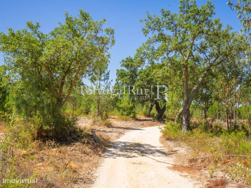 Quinta de 20ha com projeto para Turismo Rural a 1h de Lisboa-24