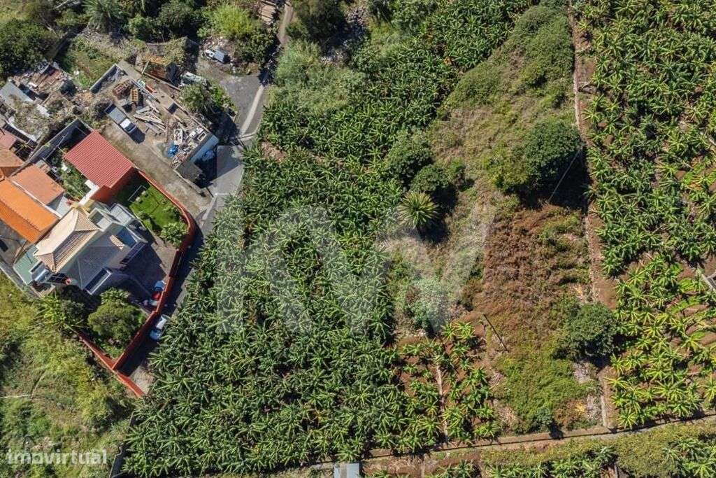 Terreno Urbanizável - 800m2 - São Martinho | Funchal - Grande imagem: 5/21