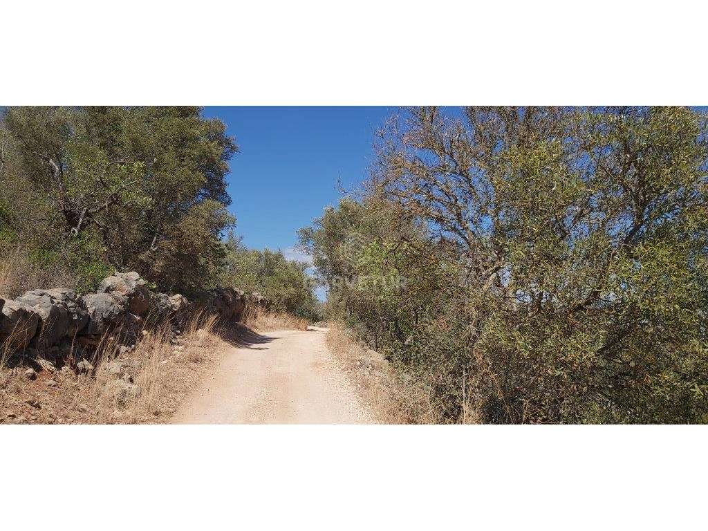 Terreno rústico, em zona agrícola, Matos de Cima, Paderne, Albufeir... - Grande imagem: 5/20