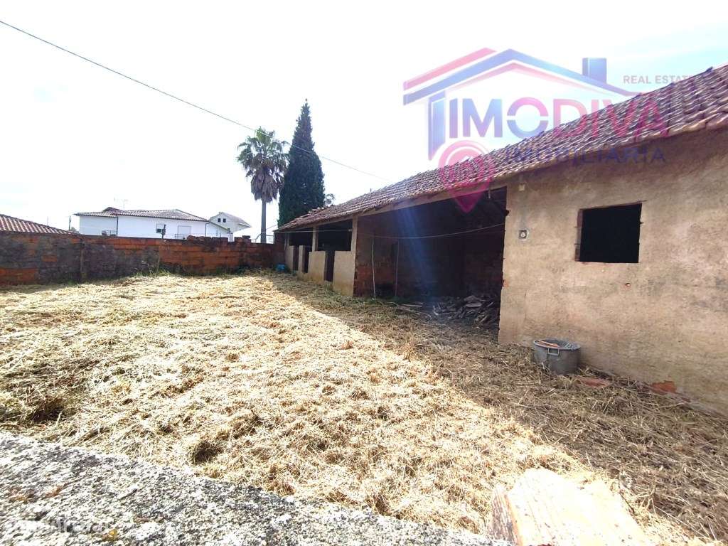 Moradia T3 com Terreno Plano de 1.000 m² a 5 minutos de Figueiró do...-23