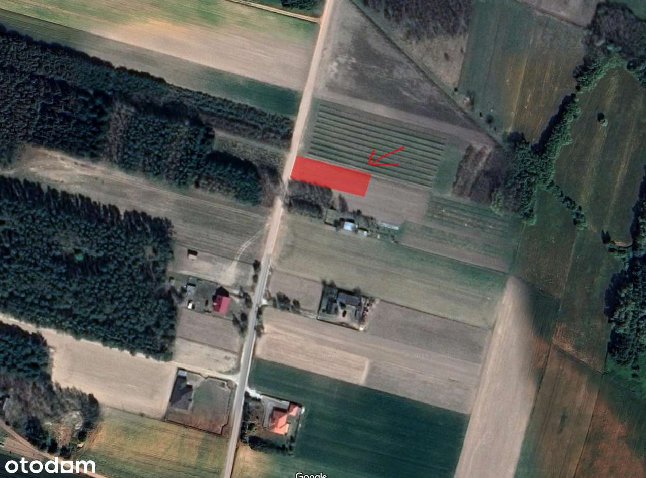 Działka budowlana, Grodziec 1046 m2 - Pełny obrazek: 5/5