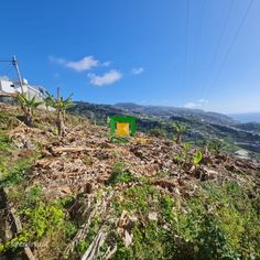 TERRENO - TABUA - Grande imagem: 4/11