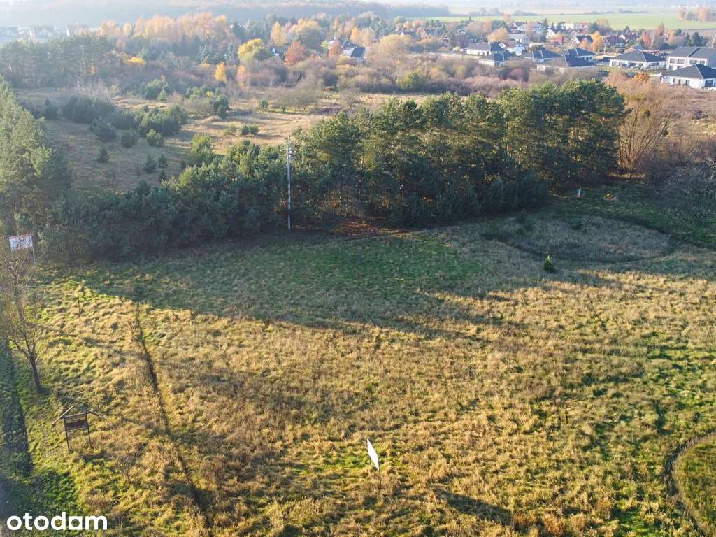 Działka budowlana MPZP | Sierosław | 1584 m2 - Pełny obrazek: 5/7