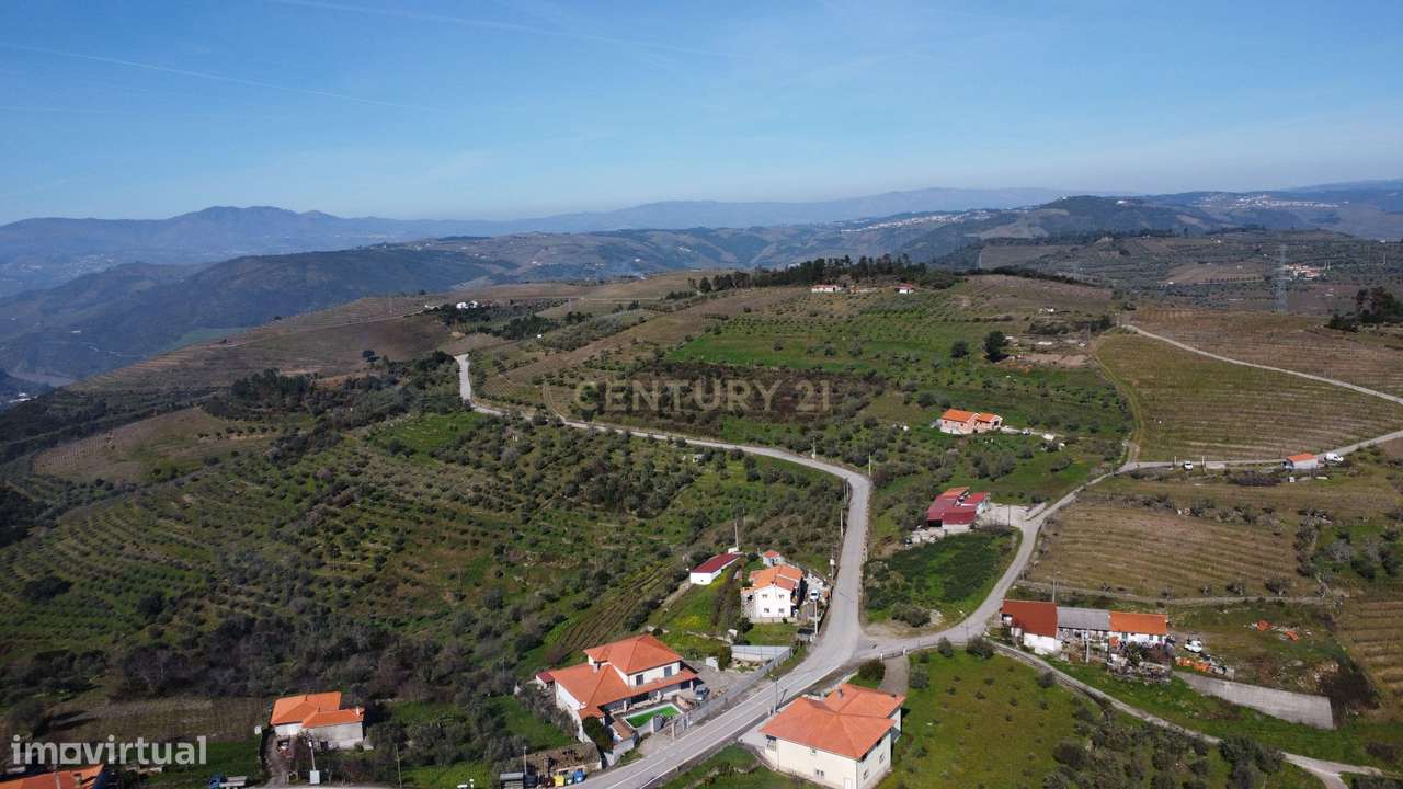 Quinta no Alto Douro Vinhateiro com Projeto Turístico Aprovado-31