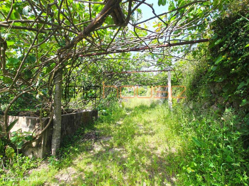 Quinta Tradicional com Terreno Plano e Ribeiro - A 22 min. do Porto-17