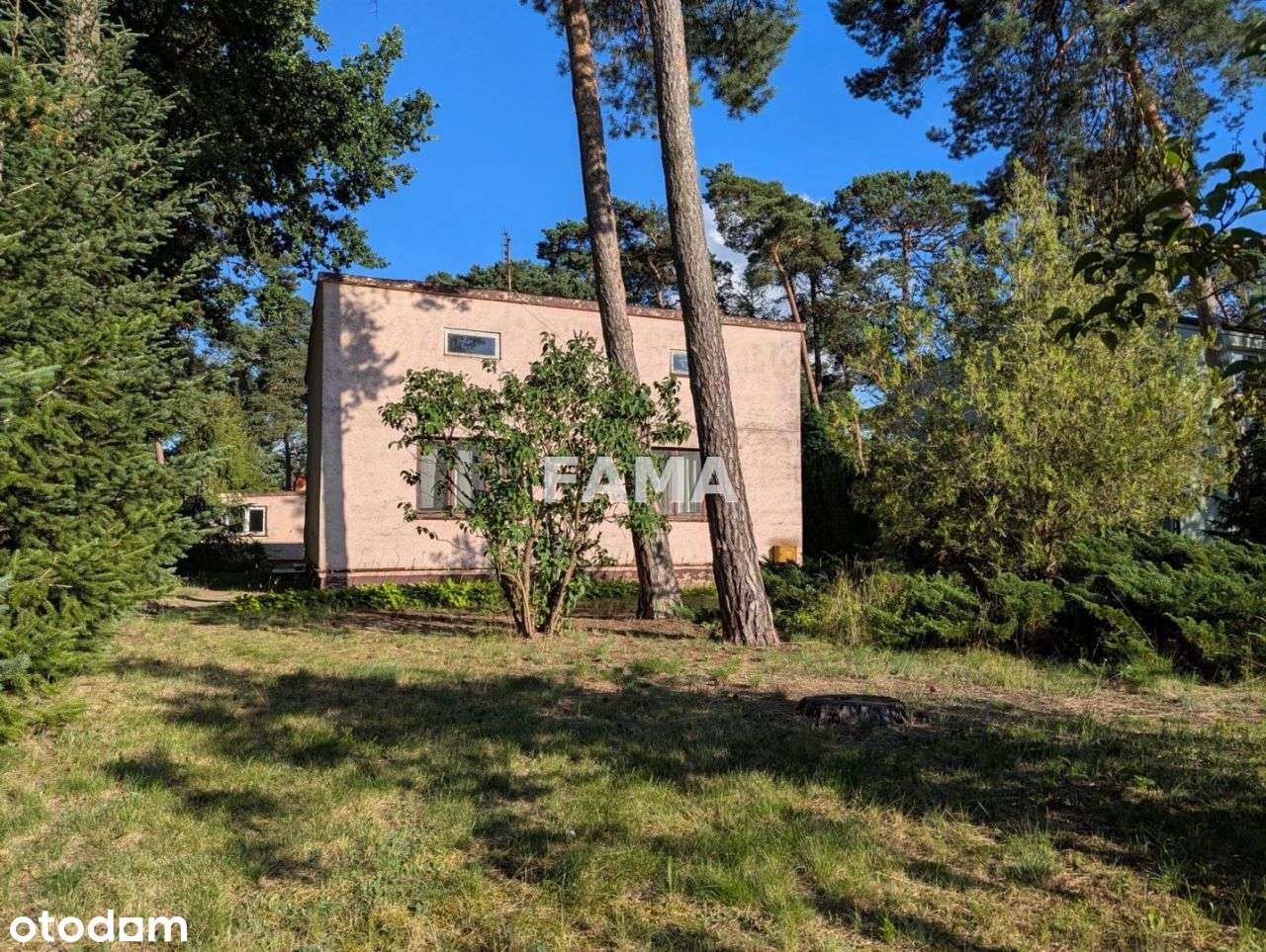 Działka 1310 mkw, dom 55 mkw, Aleja Jana Pawła II - Pełny obrazek: 5/14