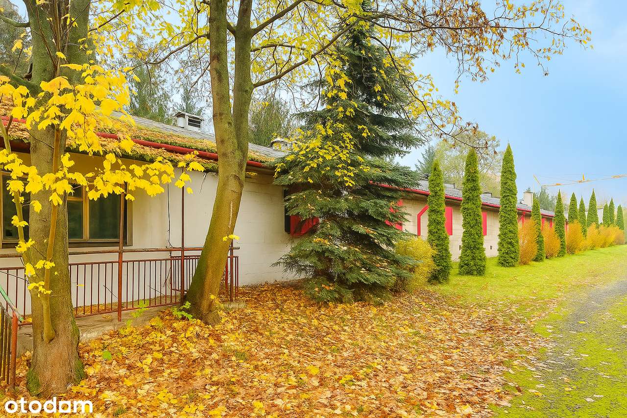 Wilcza Góra | ul. Żwirowa | 1,96 ha | hala + dom | teren UM - Pełny obrazek: 4/9