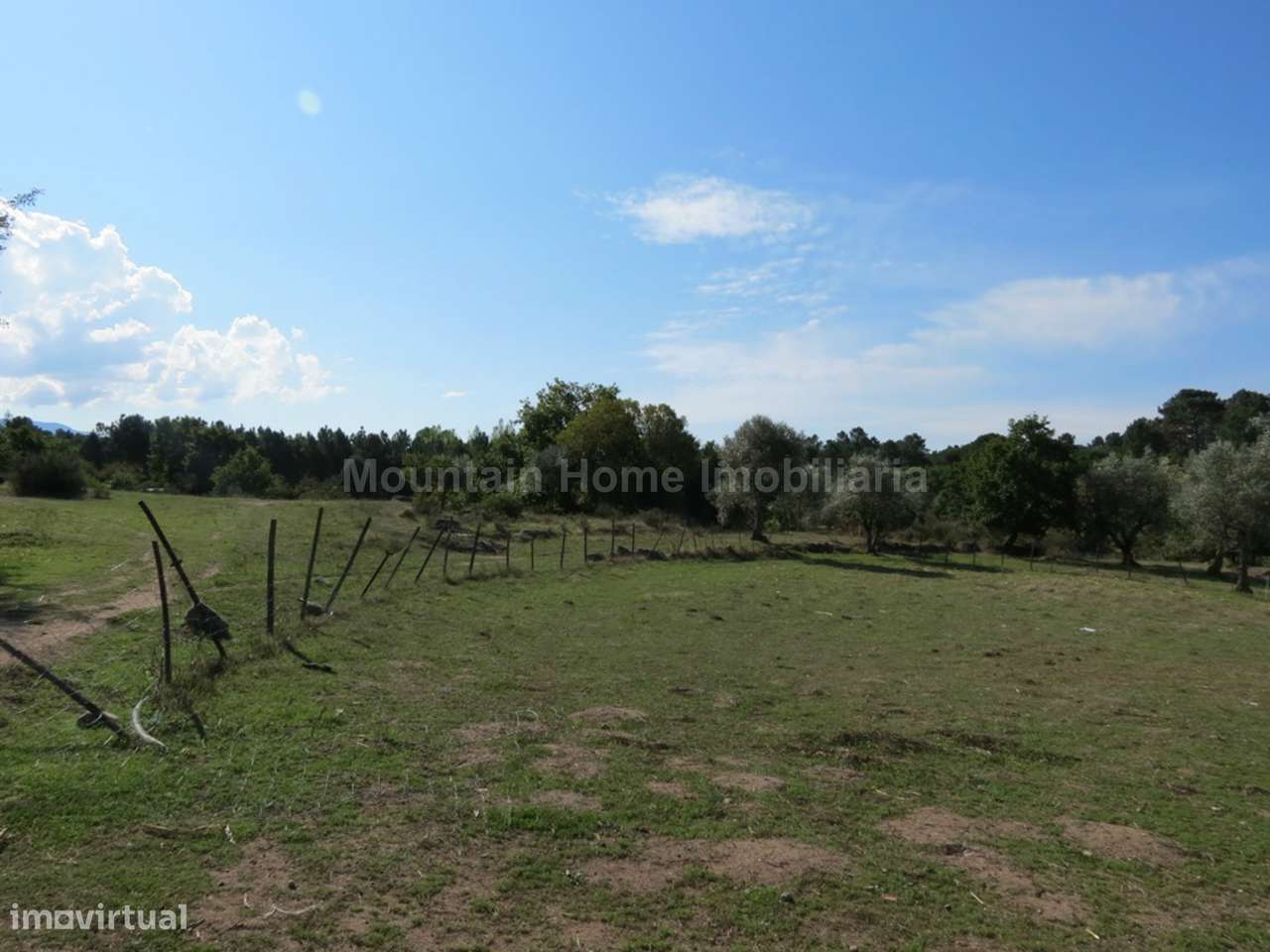 Quinta  Venda em Paranhos,Seia - Grande imagem: 3/8