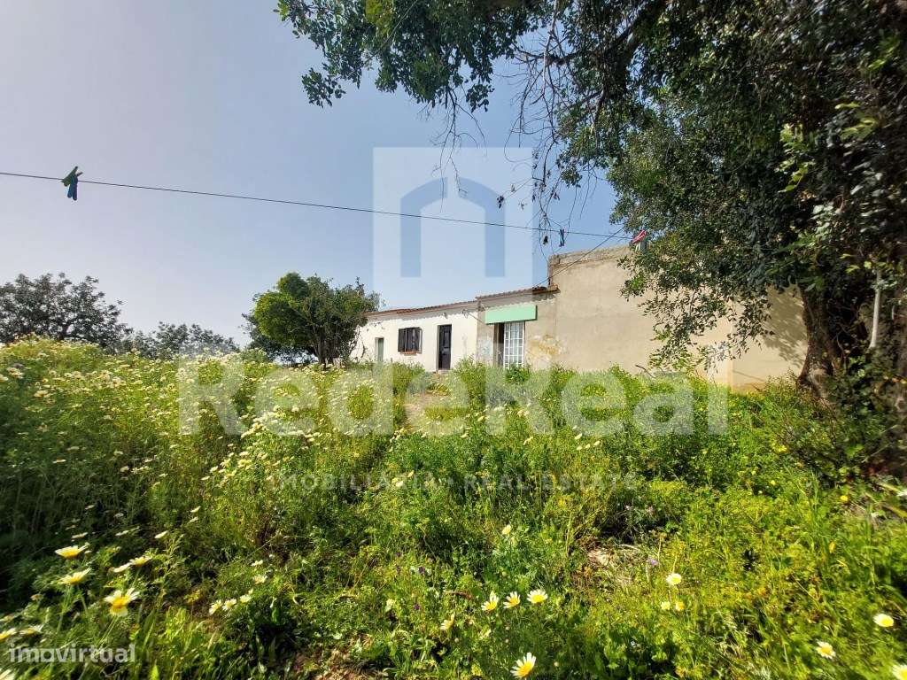 Quinta isolada com 6,4hectares com habitação e benfeitorias - Grande imagem: 3/17