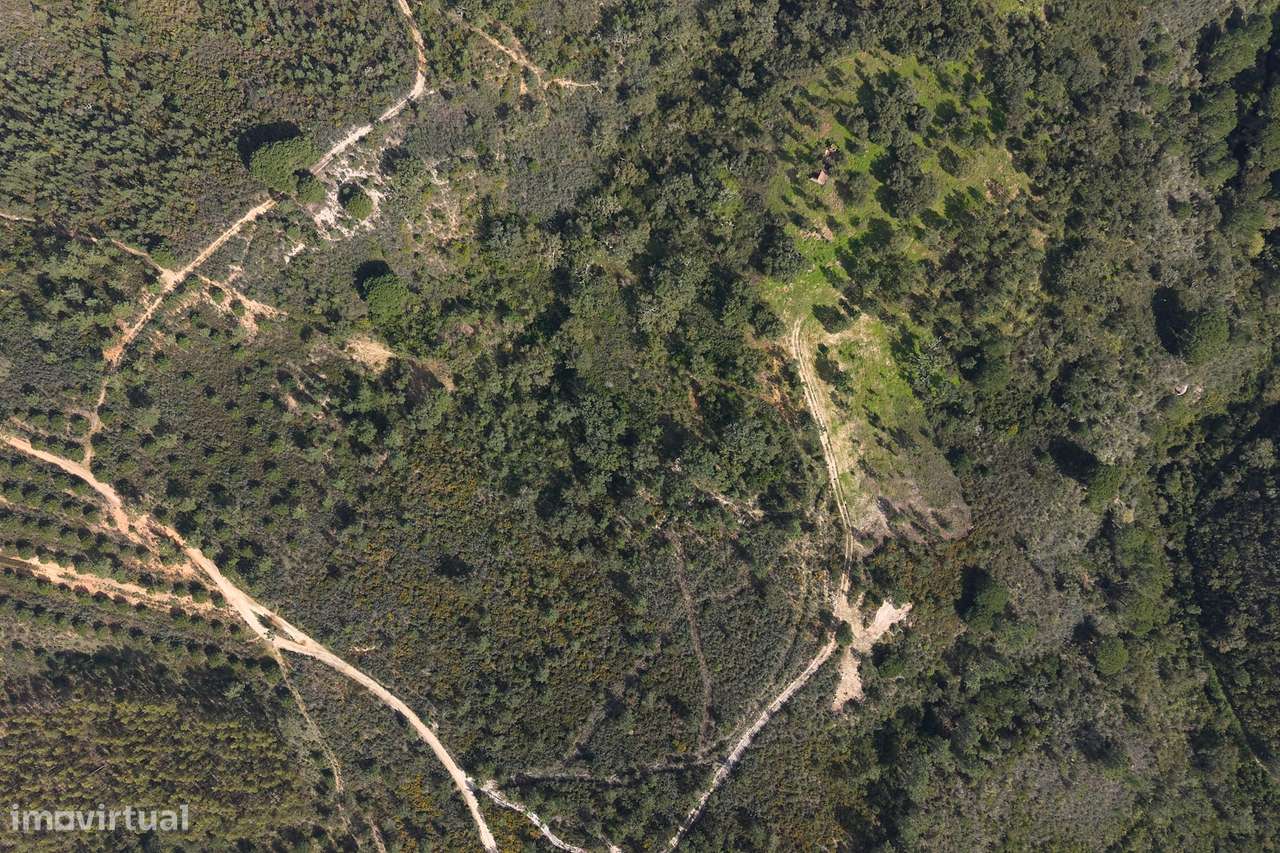 Herdade de 10 hectares em Melides - Grande imagem: 5/22