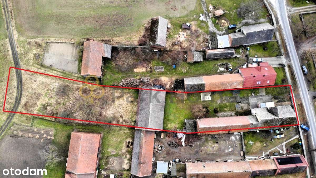 Dom w Grochowicach, działka 25 arów - Pełny obrazek: 4/12