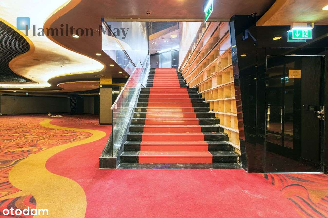 Luksusowa przestrzeń 1000 m² - Pełny obrazek: 4/20