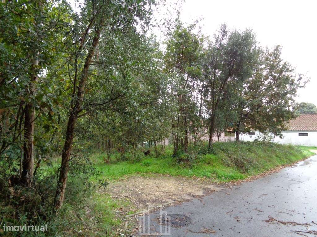 Terreno - S. V. Pereira Jusã - Grande imagem: 5/5