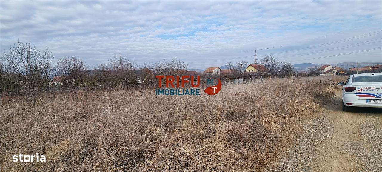 Teren intravilan 350 mp de vanzare Alba Micesti cu toate utilitatile - Imagine principală: 2/5