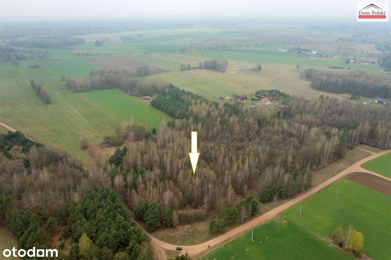 Działka w Piasutnie idealna pod Agroturystykę-0