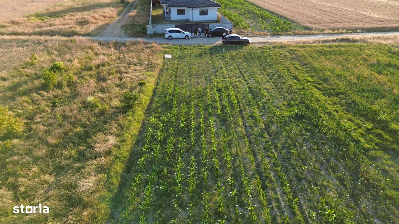 OFERTA /  TEREN 2890 MP / ZONA BUDESTI /-1