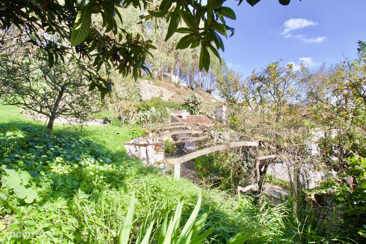 Moradia T3 - Combinação de história, natureza e potencial de desenvolv - Grande imagem: 5/60