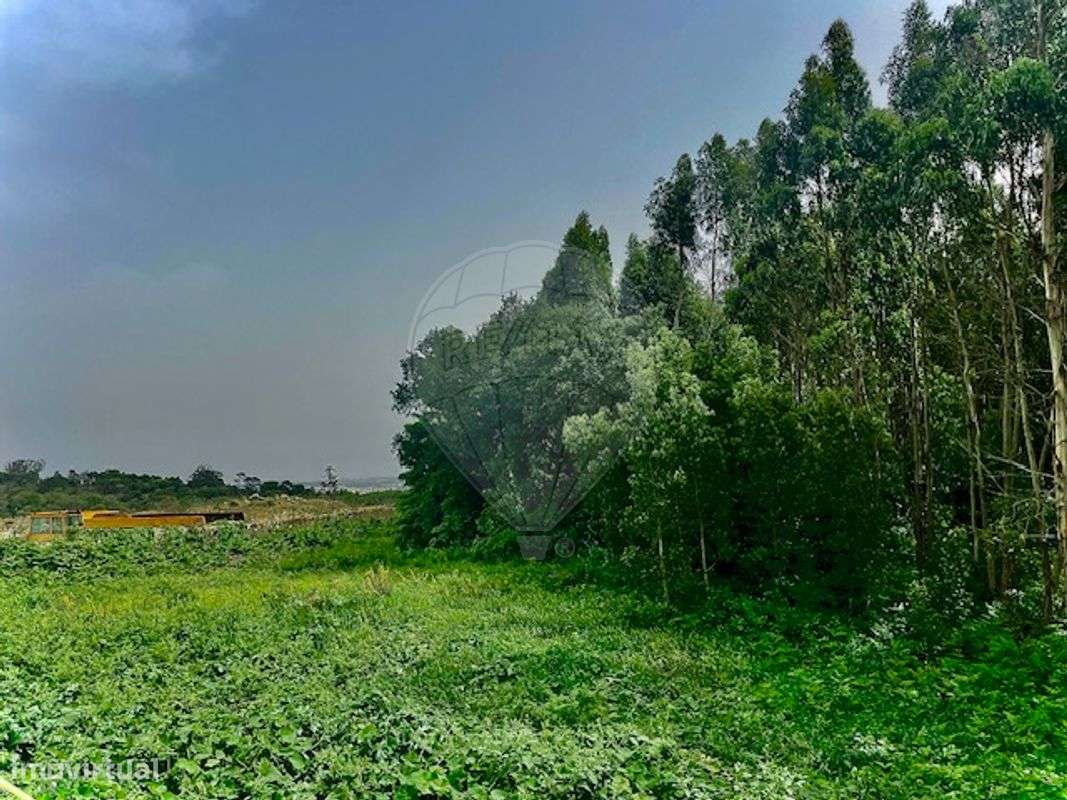 Terreno  para venda - Grande imagem: 4/4