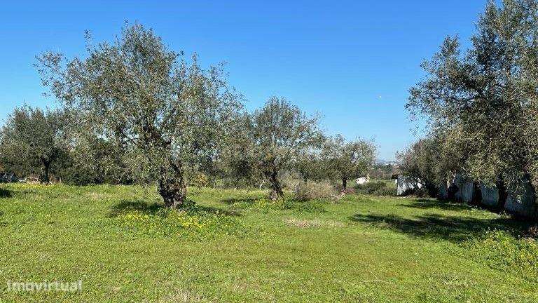 Terreno para construção com projeto aprovado em lote 1894m2  - Tomar - Grande imagem: 5/10