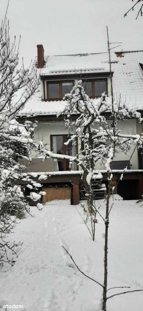 Bliźniak na sprzedaż-6