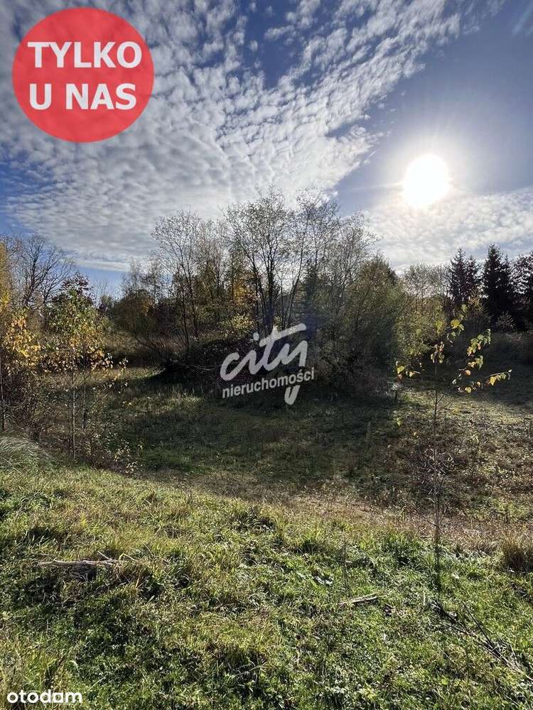 Duża działka z dostępem do jeziora pod Szczecinem!-13