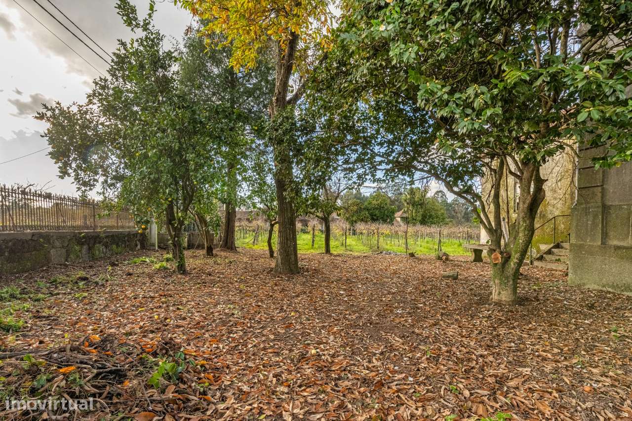 Moradia Senhorial - Felgueiras-35