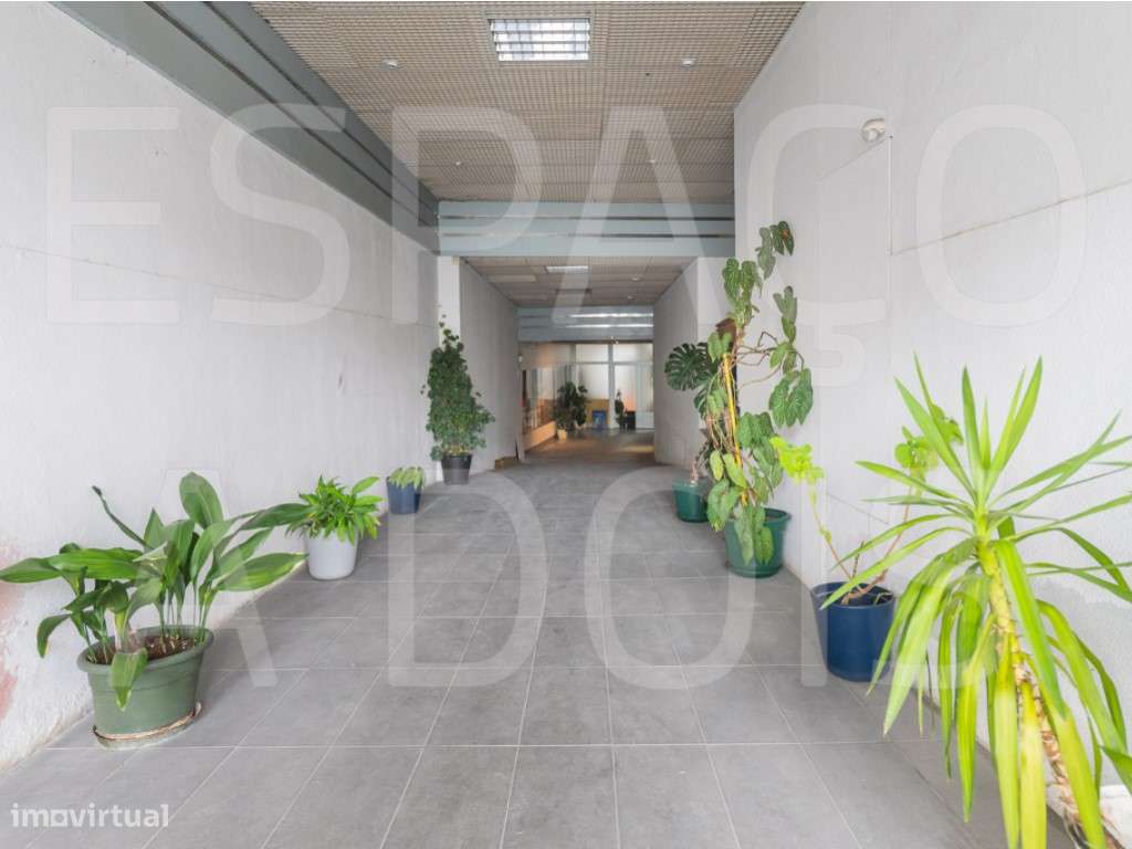 Armazém Amplo; com 2 Pisos! Boa Localização, próximo do Centro da A... - Grande imagem: 3/60