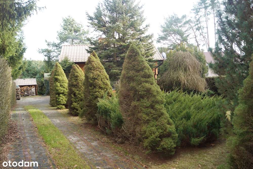 Dom nad jeziorem otoczenie lasów/5 pok/110m2/Chomiąża Szlachecka-19