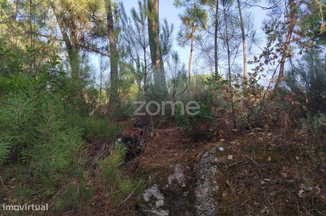 Terreno, 1 958 m², Santiago de Cassurrães e Póvoa de Cervães - Grande imagem: 4/30
