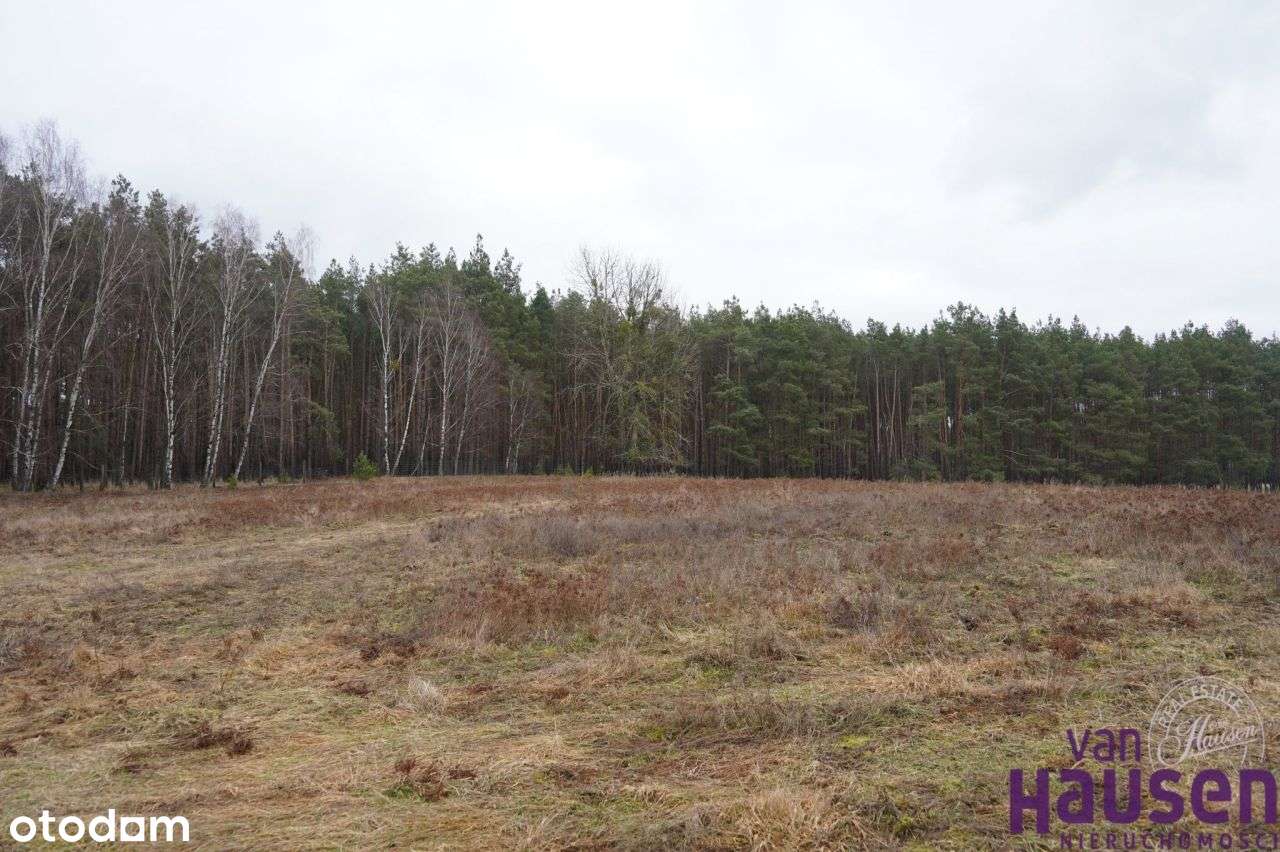 Działka, 45 m², Międzychód - Pełny obrazek: 5/13