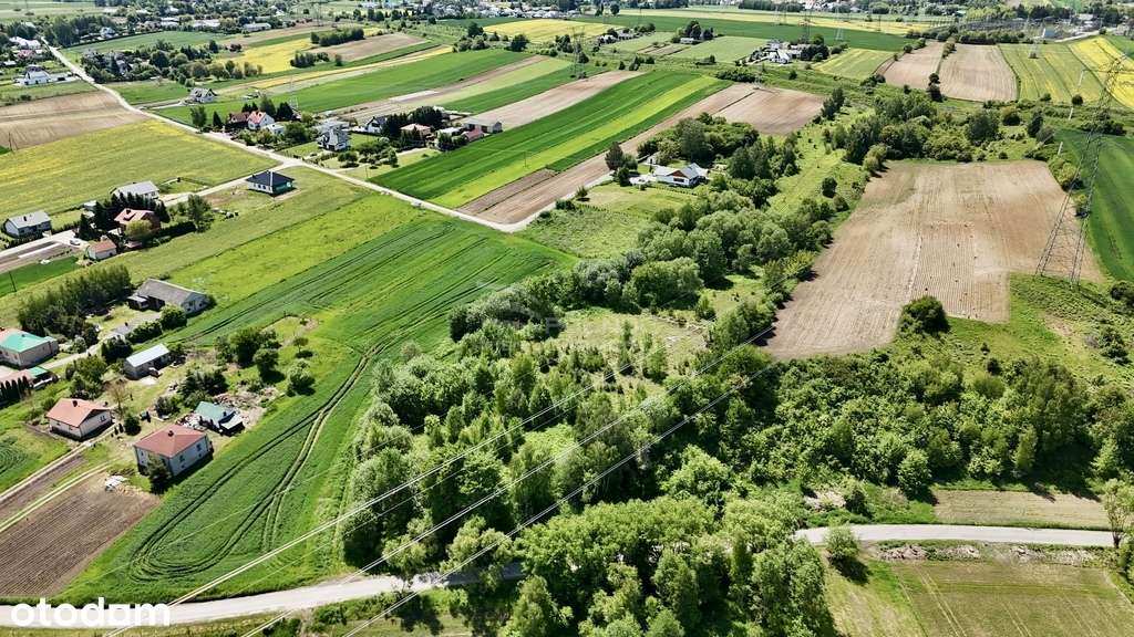 Działka inwestycyjna tylko 15 min od Lublina - Pełny obrazek: 5/5