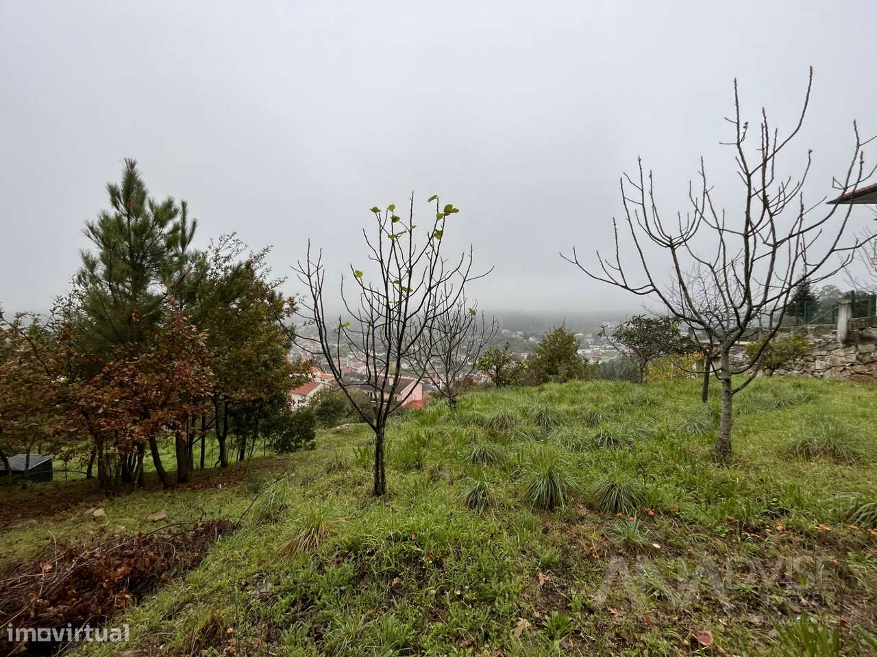 Terreno  Venda em Orgens,Viseu - Grande imagem: 4/8