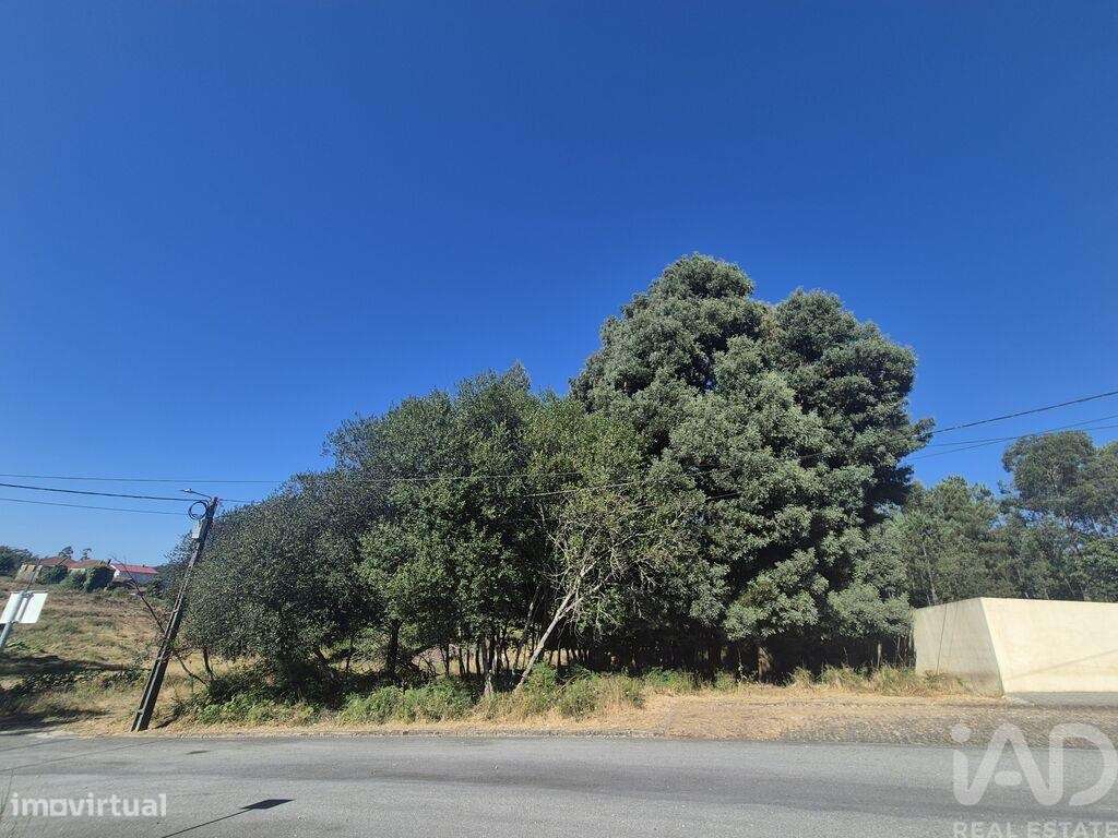 Terreno em Arrifana de 289,00 m2 - Grande imagem: 4/9