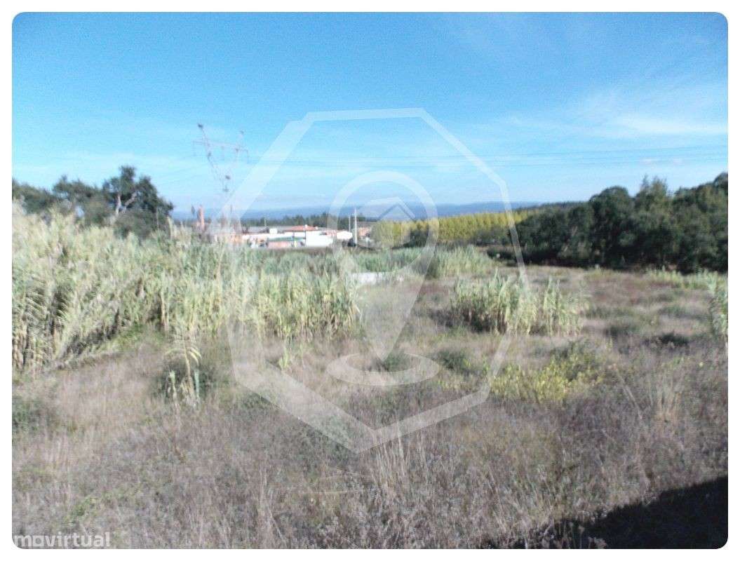 Terreno para Construção 6 moradias em Oliveira do Bairro - Grande imagem: 5/7