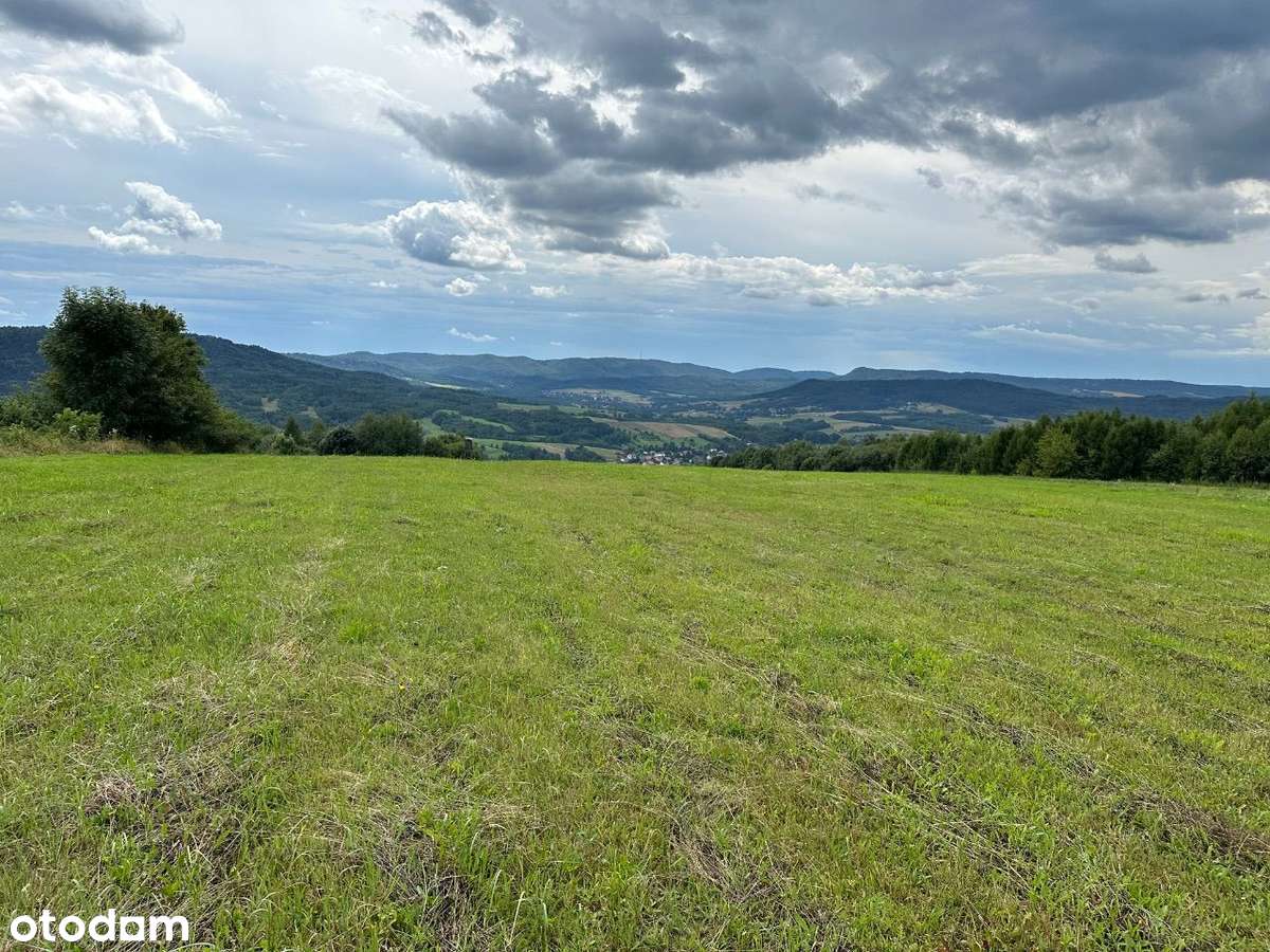 Widokowe działki w Lutczy (2,69 ha) - Pełny obrazek: 4/5