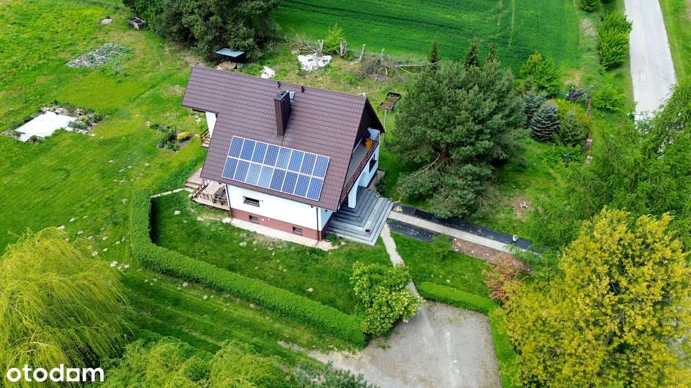 Imponujące siedlisko/ działka 49 arów  - Bończa - Pełny obrazek: 2/20