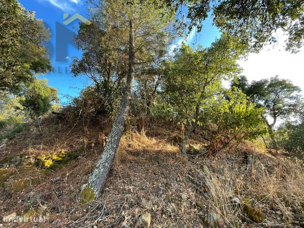 Terreno Rústico, com 1560m², em Sobral do Campo - Grande imagem: 5/12