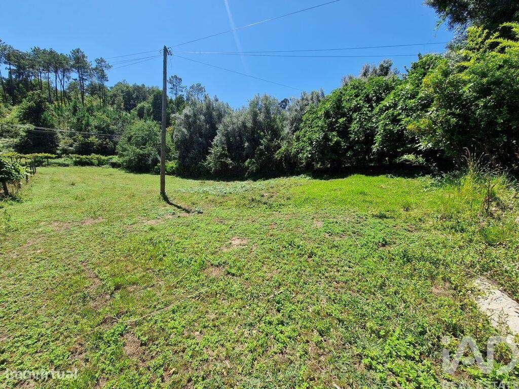 Terreno Agrícola em Torre E Vila Mou de 917,00 m2 - Grande imagem: 3/30