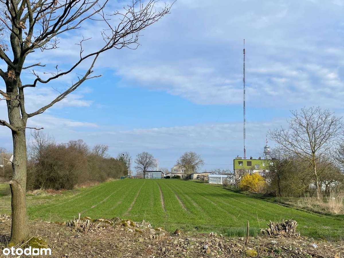 Działka 3600 m² Jemiołów(Łagów Lubuski) w malowniczej okolicy - Pełny obrazek: 2/11