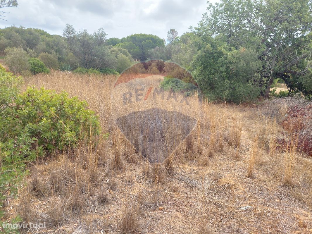 Terreno  para venda