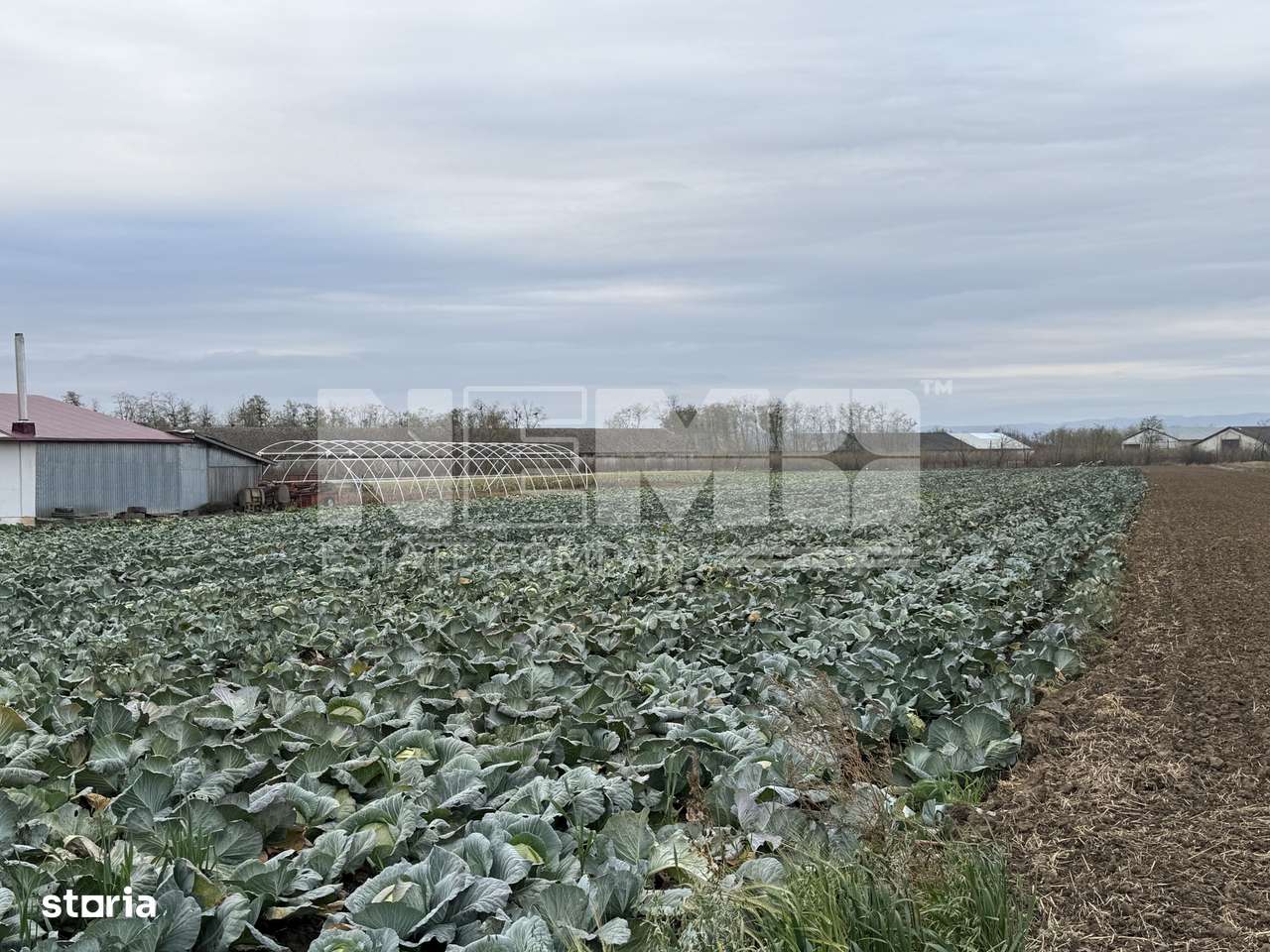 Teren 9.000 mp | Milișăuți | Intravilan | Front 38 m | 149.000 € - Imagine principală: 2/4