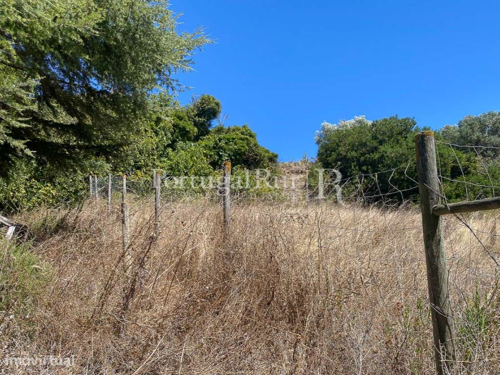 Complexo Agricola com 35.640 m² e 1.907 m² de área de construção-17