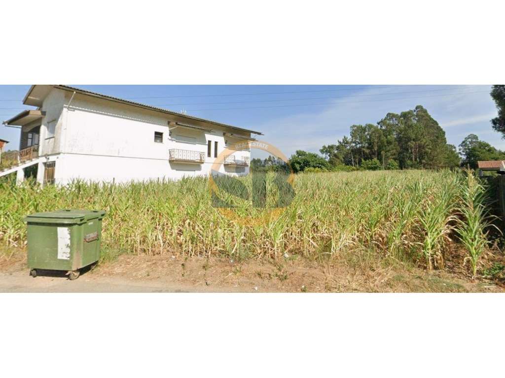 Oportunidade única Terreno em Oliveira de Azeméis - Grande imagem: 2/3