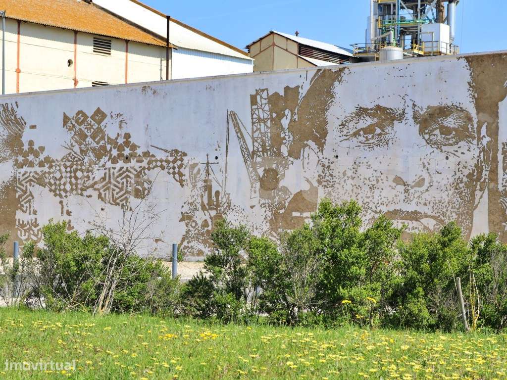 T1 com Quintal no Alto do Seixalinho - Conforto e Localização Privi...-5