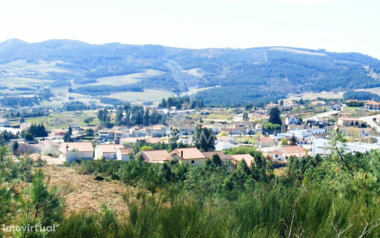 Terreno Urbanizável no centro de Sabrosa / Vila Real
