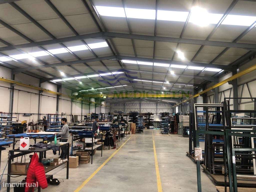 PAVILÃO ZI CALVELA - JUNQUEIRA - Grande imagem: 5/7