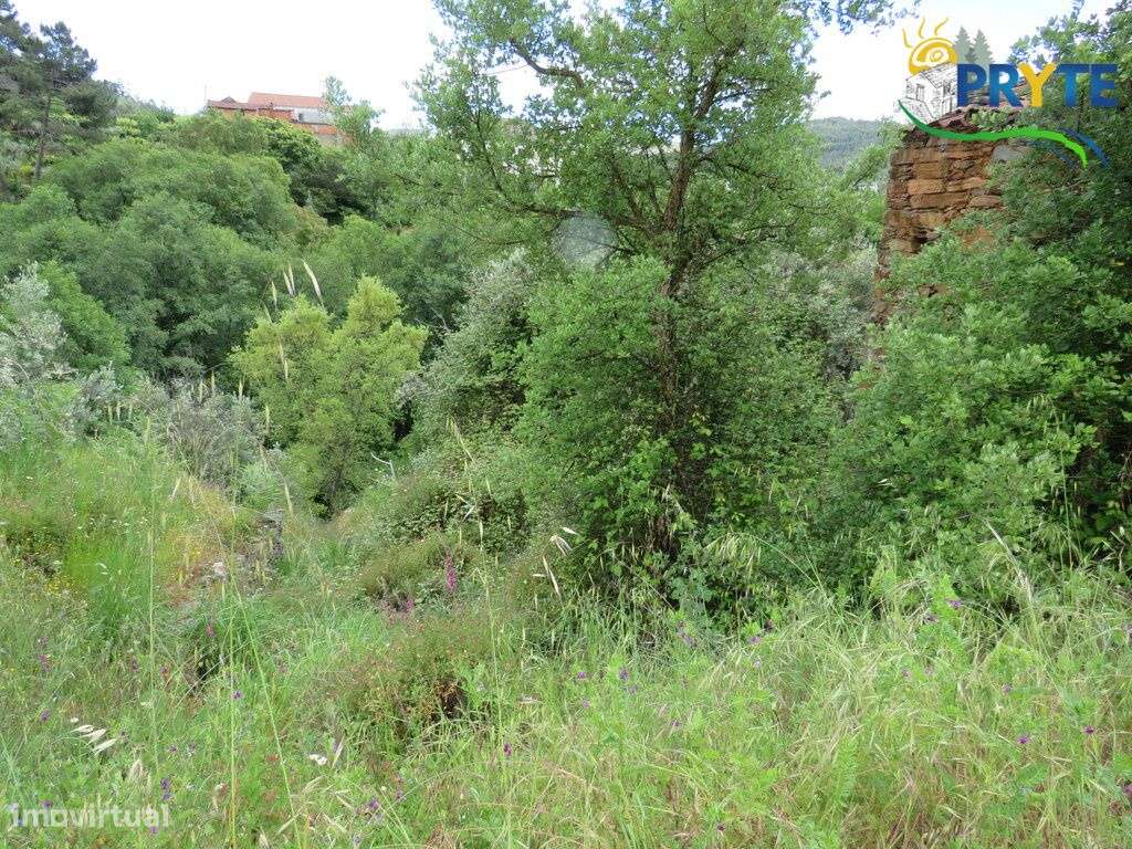 Pequena quinta a confinar com a Ribeira situada perto de Oleiros-31