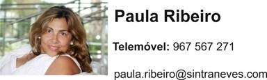 Profissionais - Empreendimentos: Paula Ribeiro / Sintraneves - Venteira, Amadora, Lisboa